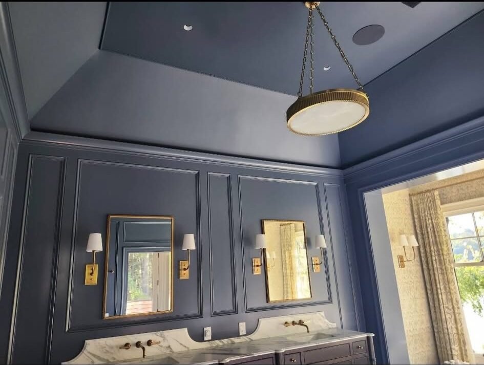 Navy blue paneled bathroom walls and ceiling with brass fixtures